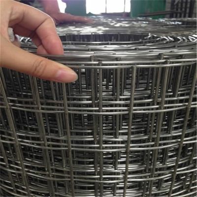 Γαλβανισμένο με προστασία σκουριάς 50*50mm Συγκολλημένος φράχτης από συρμάτινο πλέγμα 1/4 ίντσας οπής τετραγωνικό μεταλλικό πλέγμα συγκόλλησης από τον κατασκευαστή Τιμές χονδρικής